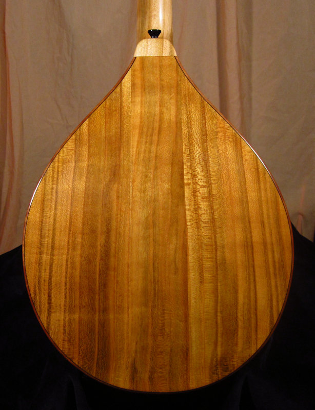 laughlin black cherry mandolin